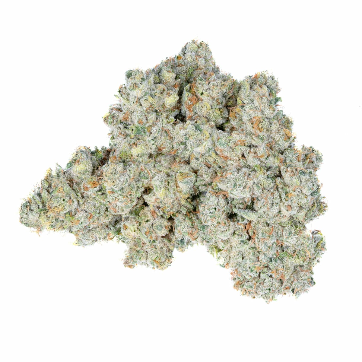 maui mango maui mango