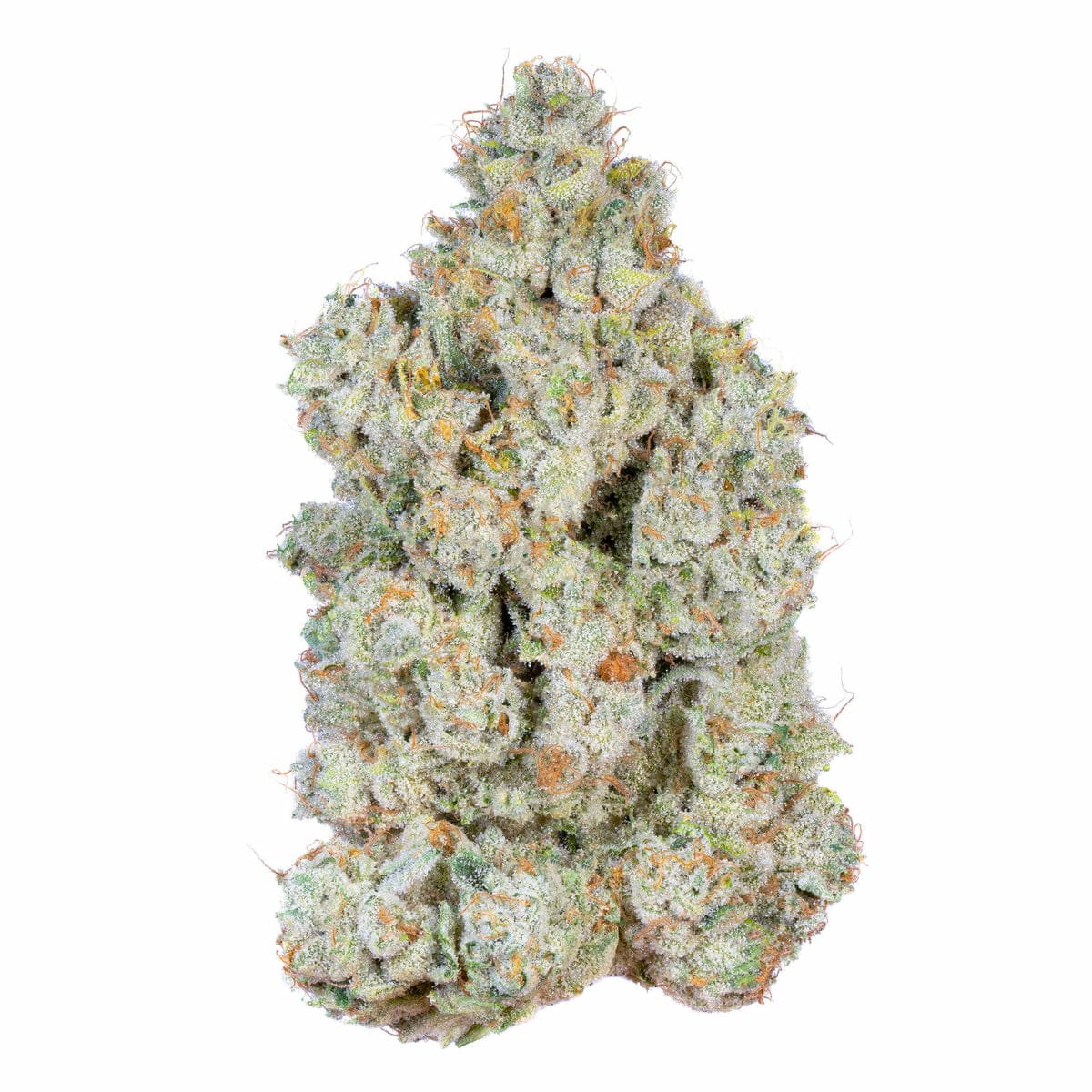 maui mango maui mango