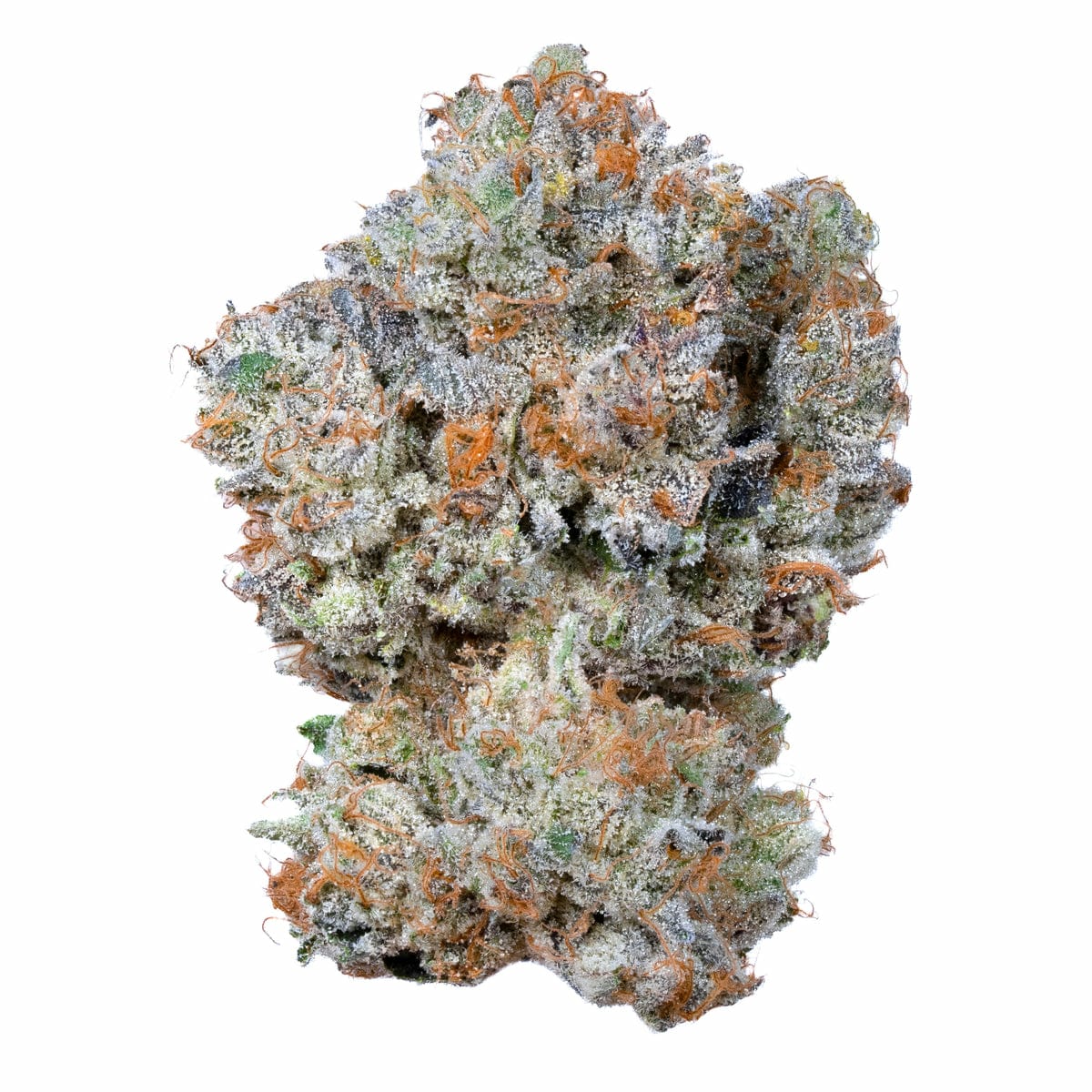 maui mango maui mango